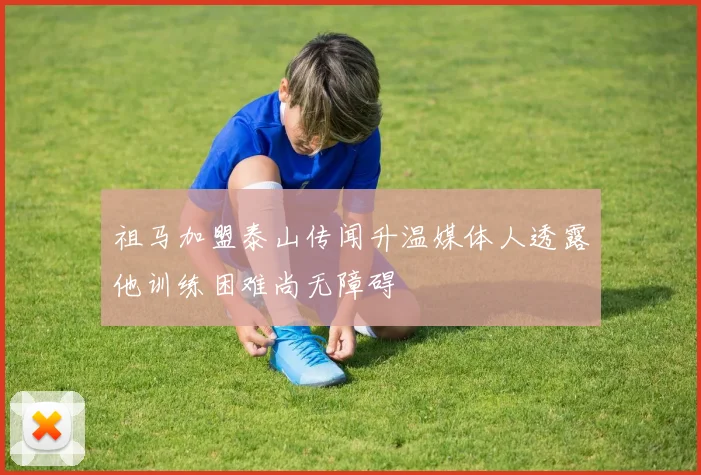 祖马加盟泰山传闻升温媒体人透露他训练困难尚无障碍
